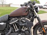 2019 Harley-Davidson XL883N Sportster Iron  - Auto Dealer Ontario