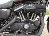 2019 Harley-Davidson XL883N Sportster Iron  - Auto Dealer Ontario