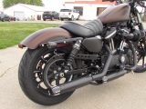 2019 Harley-Davidson XL883N Sportster Iron  - Auto Dealer Ontario