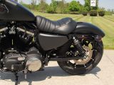 2021 Harley-Davidson XL883N Sportster Iron  - Auto Dealer Ontario