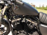 2021 Harley-Davidson XL883N Sportster Iron  - Auto Dealer Ontario