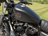 2021 Harley-Davidson XL883N Sportster Iron  - Auto Dealer Ontario