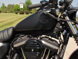 2021 Harley-Davidson XL883N Sportster Iron  - Auto Dealer Ontario