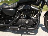 2021 Harley-Davidson XL883N Sportster Iron  - Auto Dealer Ontario