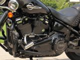 2018 Harley-Davidson Heritage Softail Classic FLSTC   - Auto Dealer Ontario