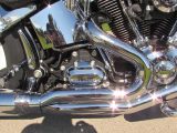 2016 Harley-Davidson Softail Deluxe FLSTN   - Auto Dealer Ontario