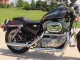 2003 Harley-Davidson XLH883  - Auto Dealer Ontario