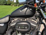 2014 Harley-Davidson XL883N Sportster Iron  - Auto Dealer Ontario