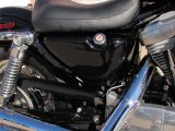 2001 Harley-Davidson XLH883  - Auto Dealer Ontario