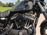 2022 Harley-Davidson XL883N Sportster Iron  - Auto Dealer Ontario