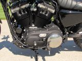 2022 Harley-Davidson XL883N Sportster Iron  - Auto Dealer Ontario
