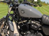 2022 Harley-Davidson XL883N Sportster Iron  - Auto Dealer Ontario