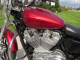 2012 Harley-Davidson XL883L Low  - Auto Dealer Ontario