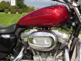 2012 Harley-Davidson XL883L Low  - Auto Dealer Ontario