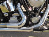 1999 Harley-Davidson Fat Boy FLSTF   - Auto Dealer Ontario