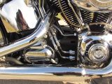 2011 Harley-Davidson Heritage Softail Classic FLSTC   - Auto Dealer Ontario