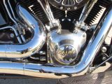 2015 Harley-Davidson Softail SLIM FLS   - Auto Dealer Ontario