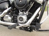 2020 Harley-Davidson Softail FXST   - Auto Dealer Ontario