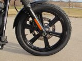 2023 Harley-Davidson Softail Street Bob FXBB   - Auto Dealer Ontario