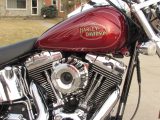 2009 Harley-Davidson Softail Custom FXSTC   - Auto Dealer Ontario