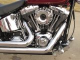 2009 Harley-Davidson Softail Custom FXSTC   - Auto Dealer Ontario