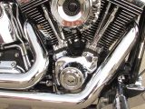 2009 Harley-Davidson Softail Custom FXSTC   - Auto Dealer Ontario