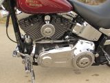 2009 Harley-Davidson Softail Custom FXSTC   - Auto Dealer Ontario