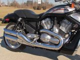 2006 Harley-Davidson VRSCR Street Rod  - Auto Dealer Ontario