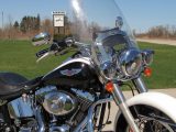 2005 Harley-Davidson Softail Deluxe FLSTN   - Auto Dealer Ontario