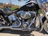 2005 Harley-Davidson Softail Deluxe FLSTN   - Auto Dealer Ontario