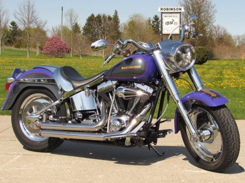 2002 Harley-Davidson Fat Boy FLSTF   - Chrome Everywhere -