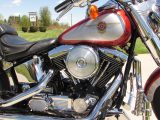 1999 Harley-Davidson Fat Boy FLSTF   - Auto Dealer Ontario