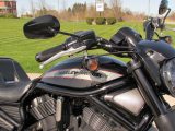 2012 Harley-Davidson Night Rod Special VRSCDX   - Auto Dealer Ontario