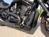 2012 Harley-Davidson Night Rod Special VRSCDX   - Auto Dealer Ontario