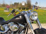 2009 Harley-Davidson Fat Boy FLSTF   - Auto Dealer Ontario