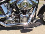 2009 Harley-Davidson Fat Boy FLSTF   - Auto Dealer Ontario