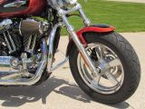 2011 Harley-Davidson XL1200C Custom  - Auto Dealer Ontario