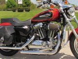 2011 Harley-Davidson XL1200C Custom  - Auto Dealer Ontario