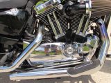 2011 Harley-Davidson XL1200C Custom  - Auto Dealer Ontario