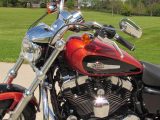 2011 Harley-Davidson XL1200C Custom  - Auto Dealer Ontario