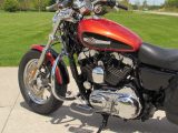 2011 Harley-Davidson XL1200C Custom  - Auto Dealer Ontario